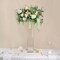 2 Clear 28 in Square Cylinder Glass Flower VASES Table Centerpieces